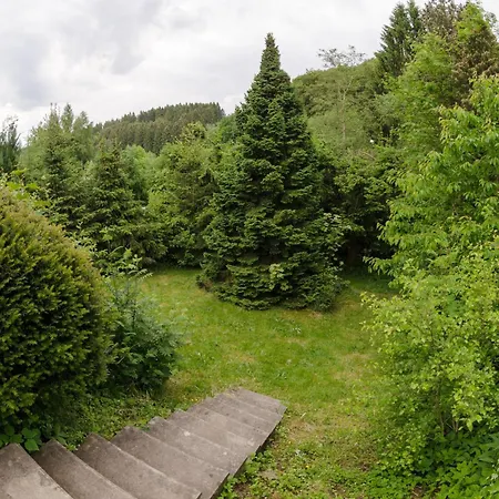 Schwedenhaus Kaminzauber Casa vacanze Willingen (Upland)