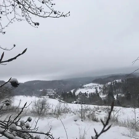 Schwedenhaus Kaminzauber *
