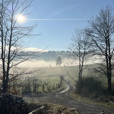 Schwedenhaus Kaminzauber Casa vacanze Willingen (Upland)