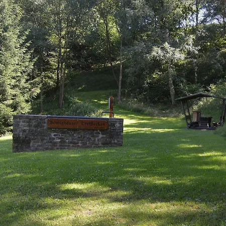 Schwedenhaus Kaminzauber Dom wakacyjny *