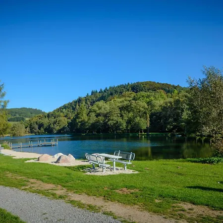 Schwedenhaus Kaminzauber Ferienhaus Willingen (Upland)