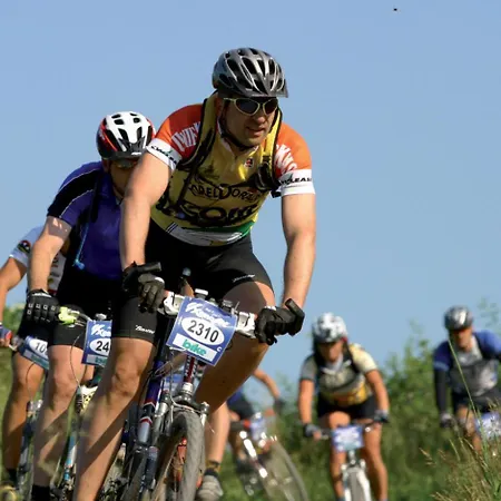 Schwedenhaus Kaminzauber * Willingen (Upland)