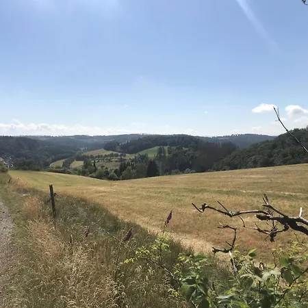 Ferienhaus Schwedenhaus Kaminzauber Willingen (Upland)