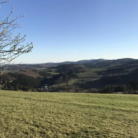 Schwedenhaus Kaminzauber Ferienhaus Willingen (Upland)