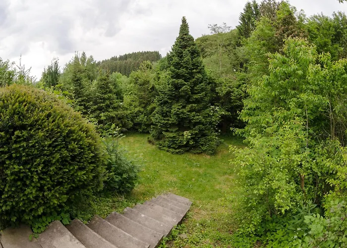 Schwedenhaus Kaminzauber Hébergement de vacances Willingen (Upland)