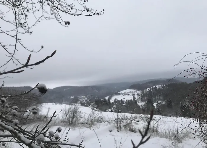 Schwedenhaus Kaminzauber *