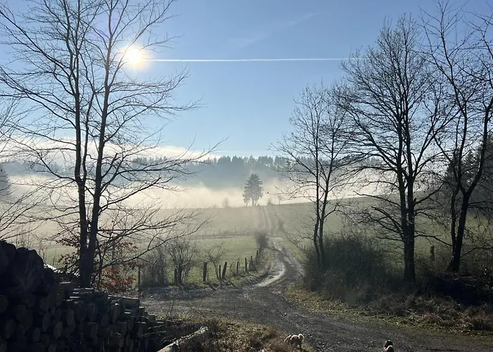 Schwedenhaus Kaminzauber Hébergement de vacances Willingen (Upland)